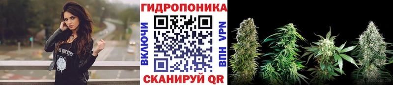 Каннабис THC 21%  продажа наркотиков  Щучье 